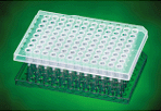 96 Well Semi skirted PCR Plate